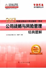 2013年注册会计师统一考试  公司战略与风险管理  经典题解