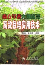 南方早春大棚蔬菜高效栽培实用技术