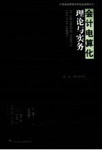 会计电算化理论与实务