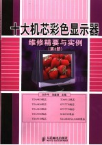 十大机芯彩色显示器维修精要与实例  第3册