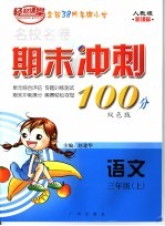 期末冲刺100分  语文  三年级