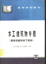 水工建筑物专题  复杂坝基和地下结构