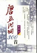 唐五代词300首  配图本