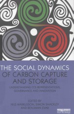 THE SOCIAL DYNAMICS OF CARBON CAPTURE AND STORAGE UNDERSTANDING CCS REPRESENTATIONS