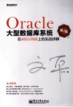 Oracle大型数据库系统在AIX/UNIX上的实战详解