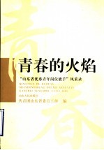 青春的火焰  “山东省优秀青年岗位能手”风采录