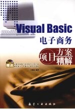 Visual Basic电子商务项目方案精解