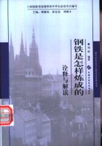 《钢铁是怎样炼成的》诠释与解读