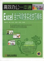 Excel会计和财务实战技巧精粹