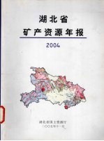 湖北省矿产资源年报  2004