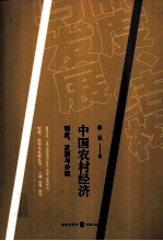 中国农村经济  制度、发展与分配