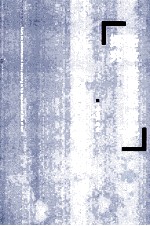 行政决策法治化探究