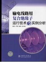 输电线路用复合绝缘子运行技术及实例分析