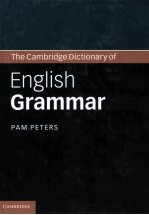 the cambridge dictionary of english grammar