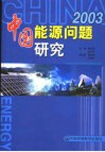 2003年中国能源问题研究