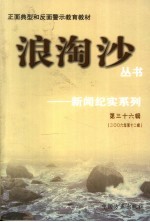 浪淘沙丛书-新闻纪实系列  第36辑  2006年第12辑