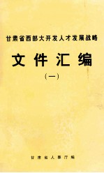 甘肃省西部大开发人才发展战略文件汇编  1