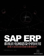 SAP ERP系统在电网建设中的应用  探索大型项目的信息化管理技术