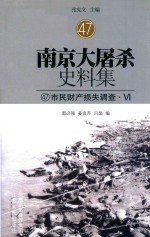 南京大屠杀史料集  47  市民财产损失调查·6