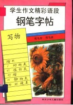 学生作文精彩语段铅笔字帖  写物