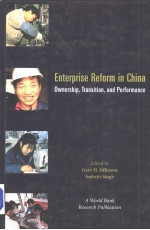 Enterprise reform in China：ownership