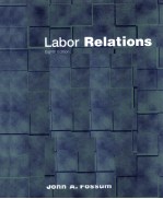 LABOR RELATIONS DEVELOPMENT