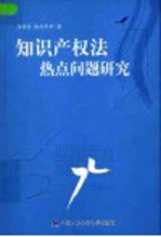 知识产权法热点问题研究