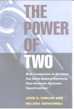 The Power of Two How Companies of All Sizes Can Build Alliance Networks That Generate Business Oppor