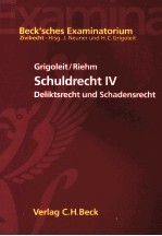 SCHULDRECHT Ⅳ DILIKTSRCHT UND SCHADENSRECHT