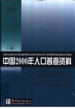 中国2000年人口普查资料  中