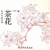 实用白描画稿  茶花