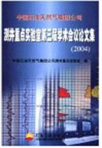 中国石油天然集团公司测井重点实验室第三届学术会议论文集  2004