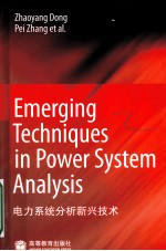 Emerging Techniques in Power System Analysis