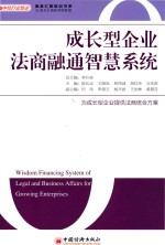 成长型企业法商融通智慧系统