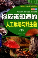 你应该知道的人工栽培与野生菌  下