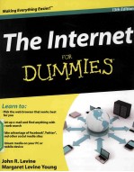 THE INTERNET FOR DUMMIES  13TH EDITION