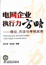 电网企业执行力方略  理论、方法与考核实务