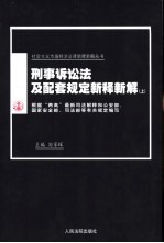 刑事诉讼法及配套规定新解  下