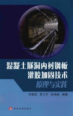 混凝土隧洞内衬钢板灌胶加固技术原理与实践