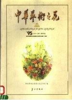 中华艺术之花  图集  1995