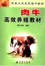 肉牛高效养殖教材