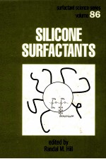 SILICONE SURFACTANTS