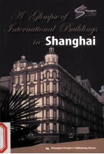 a glimpse of international building in shanghai