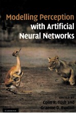 Modelling Perception with Artificial Neural Networks