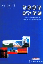 石河子社会经济统计年鉴  1999