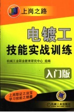 电镀工技能实战训练  入门版