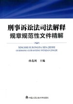 刑事诉讼法司法解释规章规范性文件精解