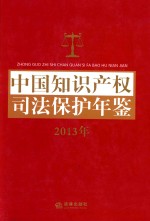 中国知识产权司法保护年鉴  2013年