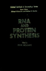 rna and protein synthesis