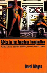 AFRICA IN THE AMERICAN IMAGINATION  POPULAR CULTURE
